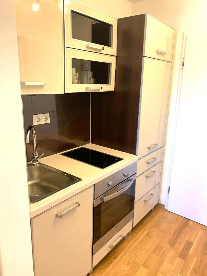 Cozy Flat , Near University , Wifi&Free Parking Ratisbona Exterior foto